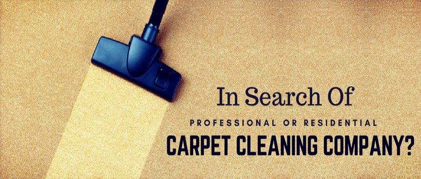 Best Professional Carpet Cleaning Companies Near Me - Service Explore