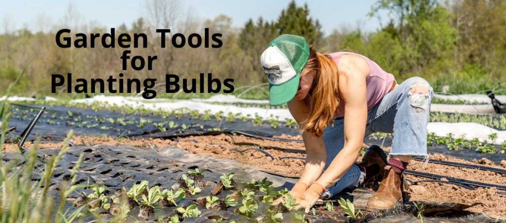 Best Garden Tools for Planting Bulbs